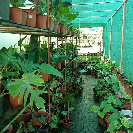 Barril Green Homestay Batuan Exterior photo